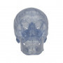 Craneo Clasico transparente, 3 partes