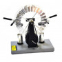 Generador  Wimshurst