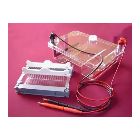 Kit para Electroforesis