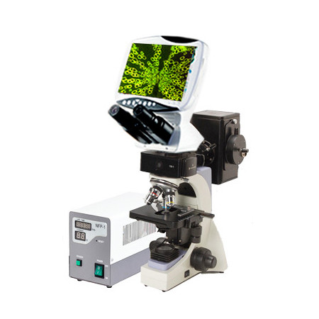 Microscopio Binocular Biologico DIGITAL con accesorios de Epifluorescencia