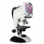 Microscopio Binocular Biologico / Estereoscopico Digital