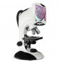 Microscopio Binocular Biologico / Estereoscopico Digital