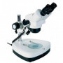 Microscopio Binocular Estereoscopico - Aumentos desde  7x hasta 40x