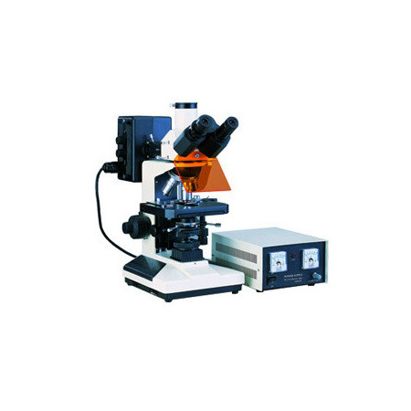 Microscopio Triocular Biologico con accesorios de Epifluorescencia