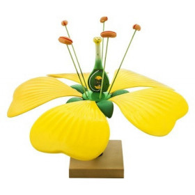 Modelo de la flor tropical
