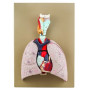 Modelo del corazon y pulmones - 5 partes