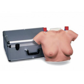 Modelo para la autoexaminacion de mamas