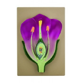 Modelo tipico de flor, tridimensional, seccion vertical con detalles pintados a mano
