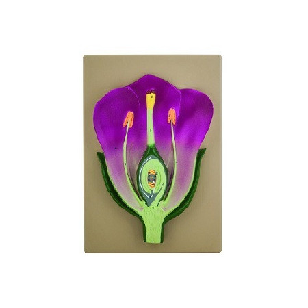Modelo tipico de flor, tridimensional, seccion vertical con detalles pintados a mano