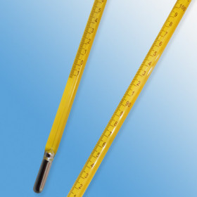 Termometro de Precision Inmersion Total -1+101 °C