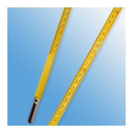 Termometro de Precision Inmersion Total -1+101 °C