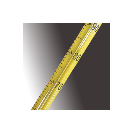 Termometro de Precision Inmersion Total -20+110 °C